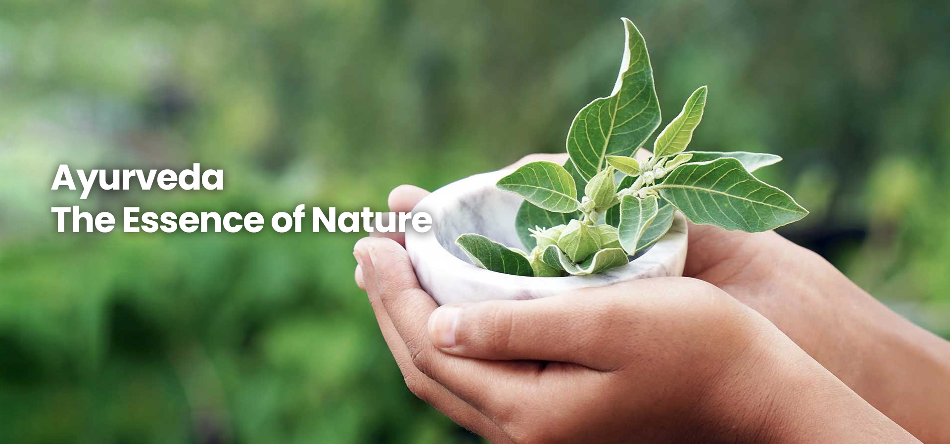 Ayurveda-banner